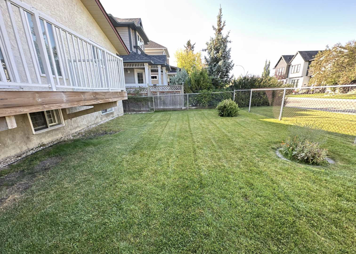 Scenic view of a mowed lawn in the garden