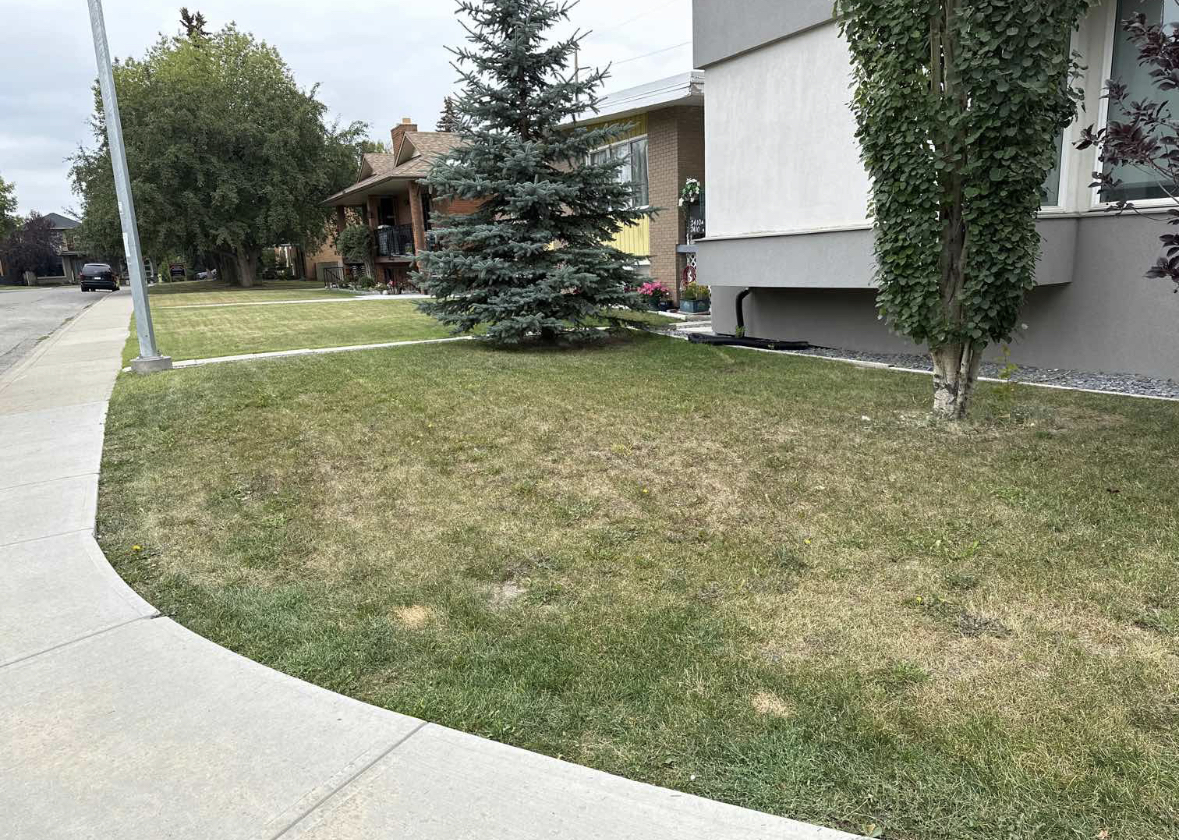 Man mowing lawn with a lawnmower